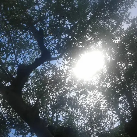 Casavarone דירה